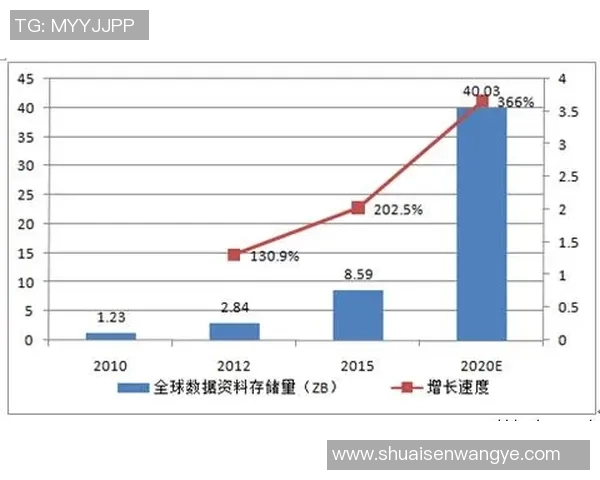 深入探讨杭州排球队实力表现的数据分析与未来发展趋势